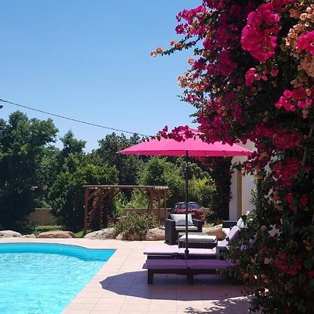 Cyrnea B&B - Adults Only Porto Vecchio Esterno foto