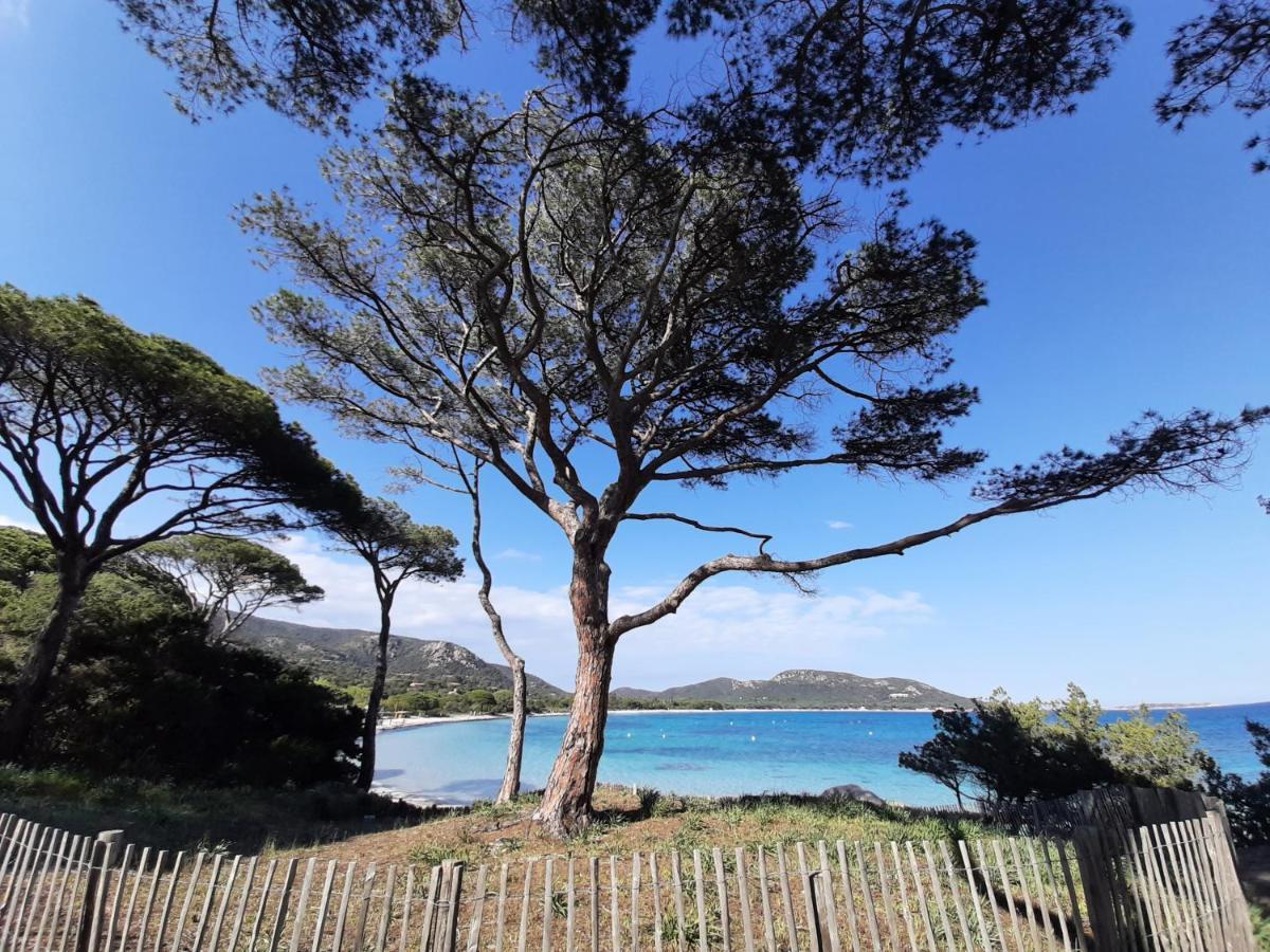 Cyrnea B&B - Adults Only Porto Vecchio Esterno foto