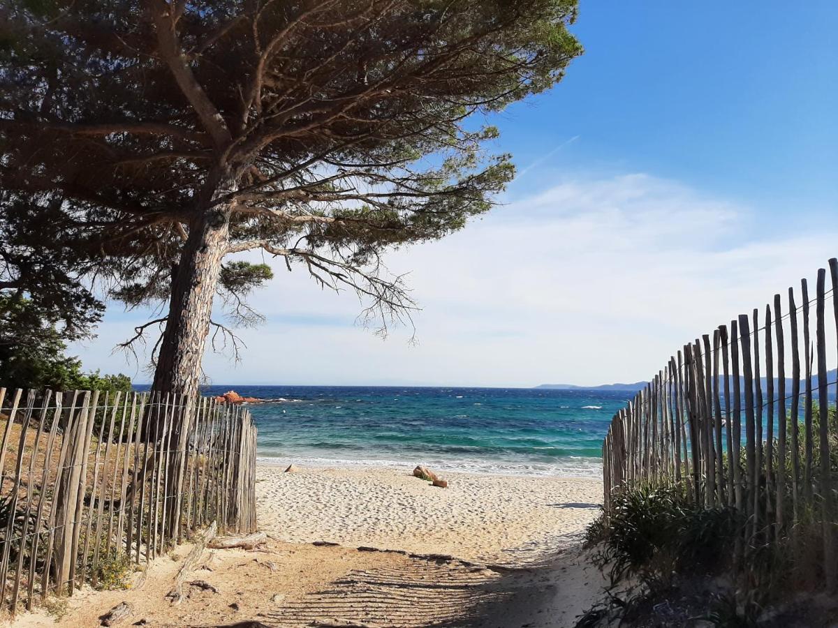 Cyrnea B&B - Adults Only Porto Vecchio Esterno foto